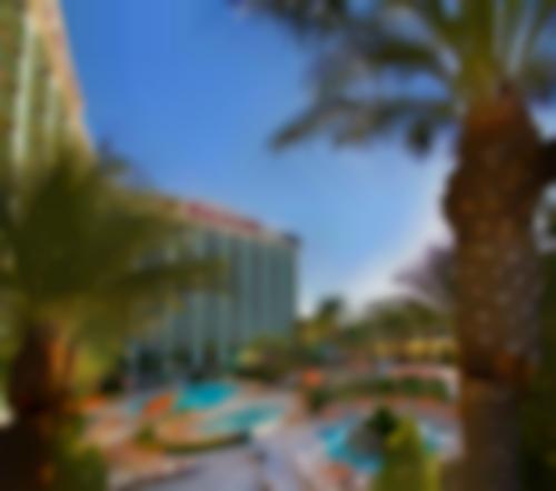 The Orleans Hotel & Casino