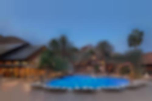 Orchid Eilat